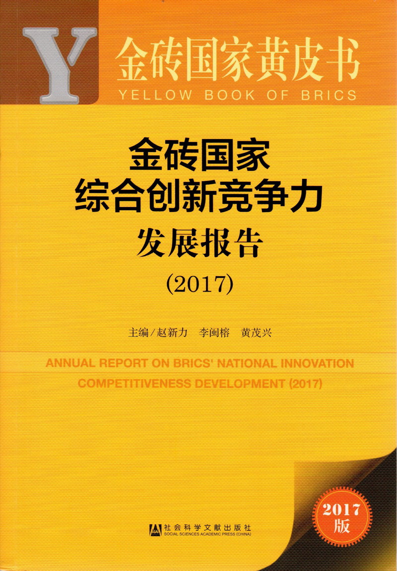 操操操操操操操金砖国家综合创新竞争力发展报告（2017）